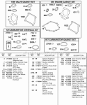 Gasket Set - Carburetor Gasket Set - Engine Gasket Set - Valve Kit- Carburetor Overhaul Diagram and Parts List for 187432-0110-E1  Briggs and Stratton Engine
